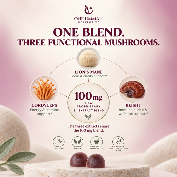 Mushroom Gummies Halal Certified