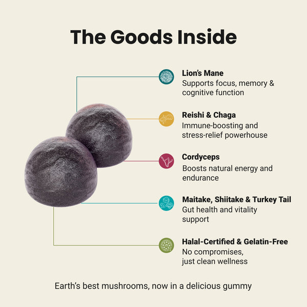 Mushroom Gummies Halal Certified