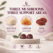 Mushroom Gummies Halal Certified