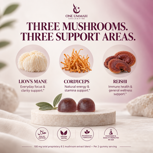 Mushroom Gummies Halal Certified